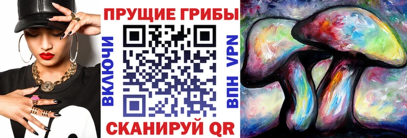 Псилоцибиновые грибы MAGIC MUSHROOMS  это наркотические препараты  Бодайбо 